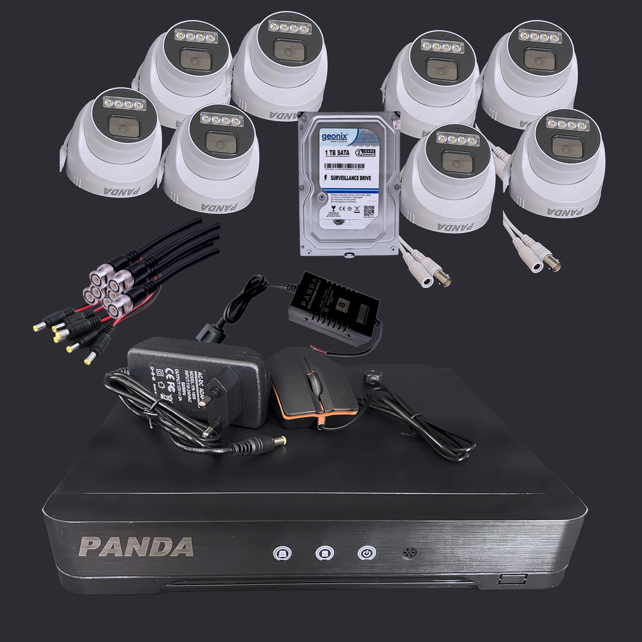 Panda Security Camera (1 TB, 8 Channel)